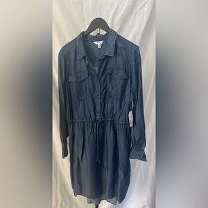 Denim Long-Sleeve Button-Up Dress